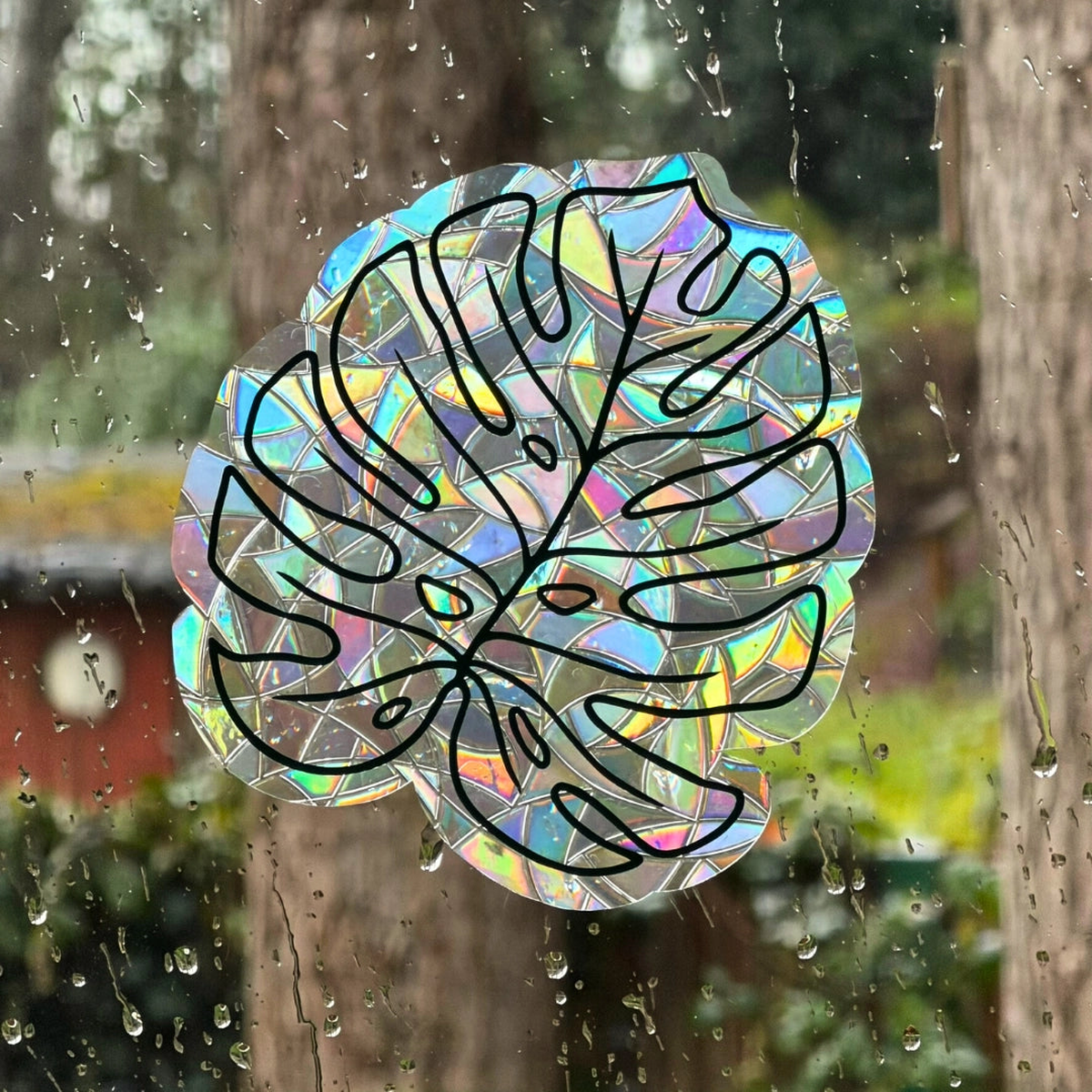 Monstera Leaf Suncatcher Sticker | Window Cling