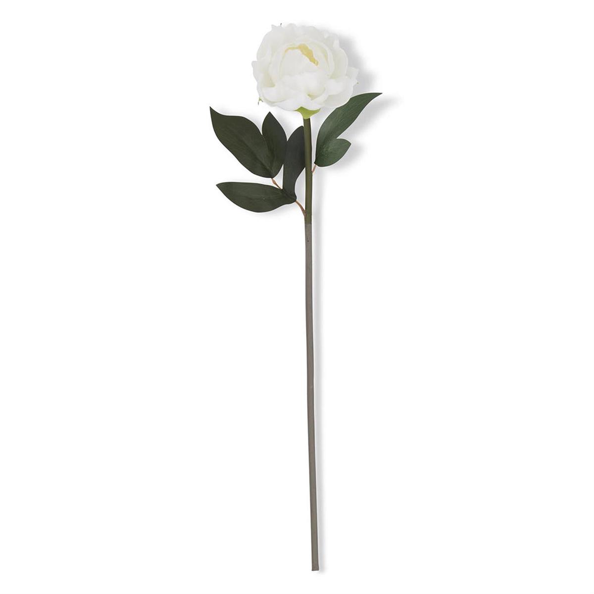 Real Touch Peony Stem White Everlasting