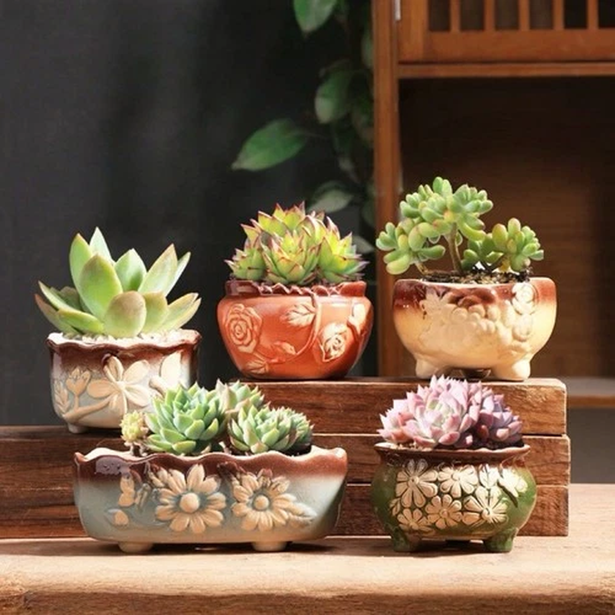 5PCs Flower Pot Ceramic Succulent Planter Pots With Drainage For Garden Set