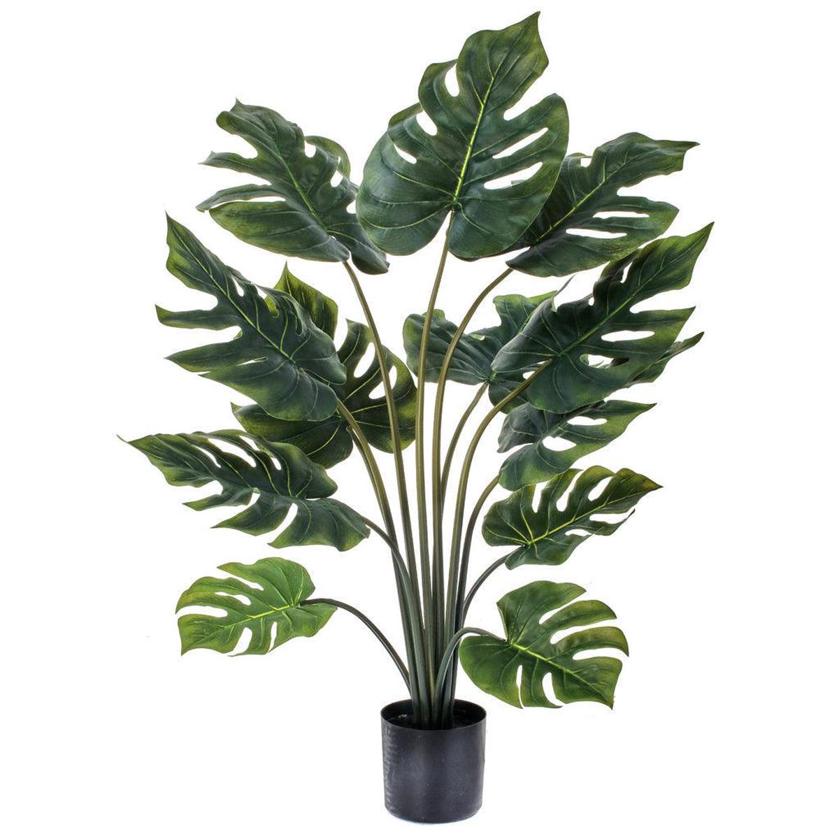 Philo Plant Everlasting 32"