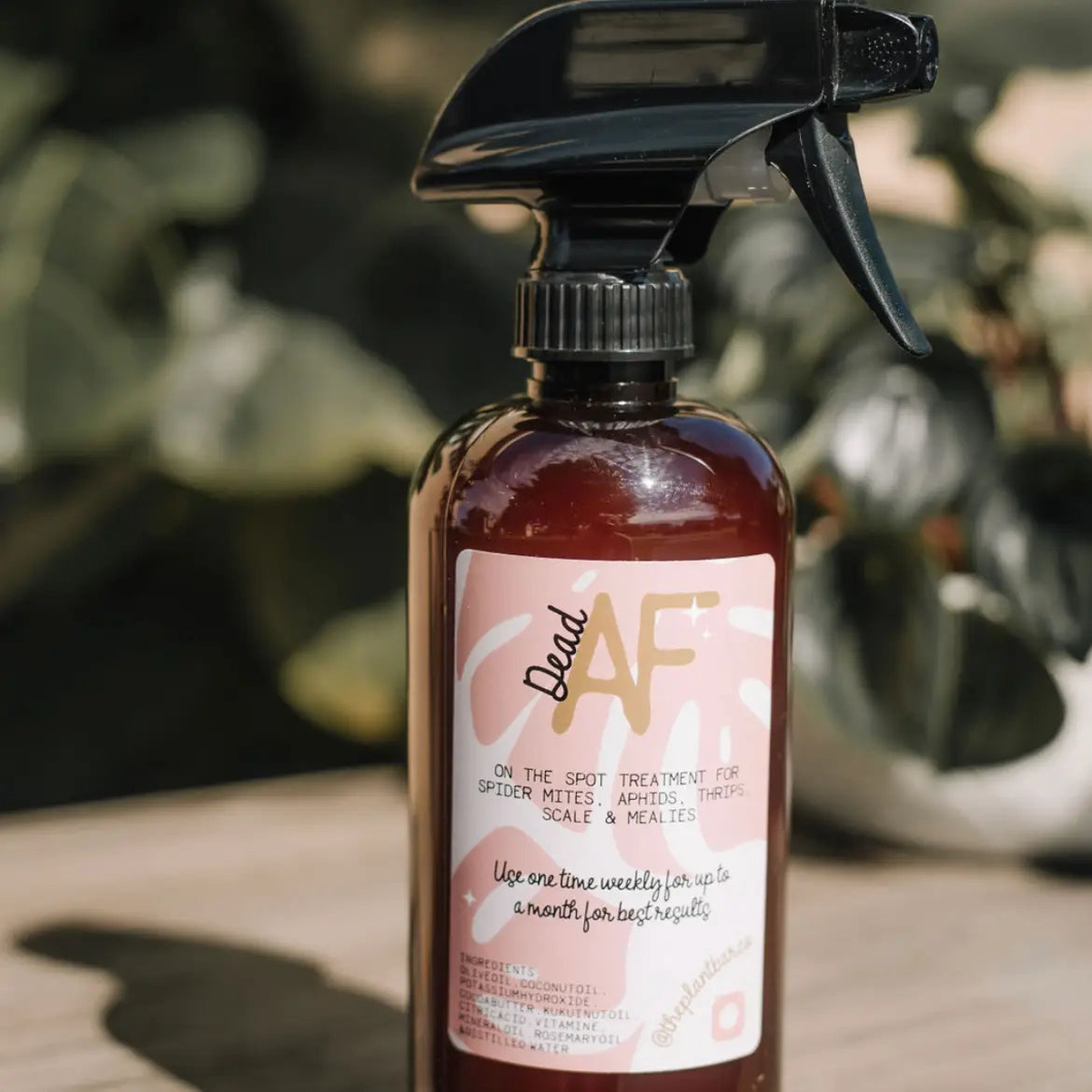 Dead AF Pest Spray