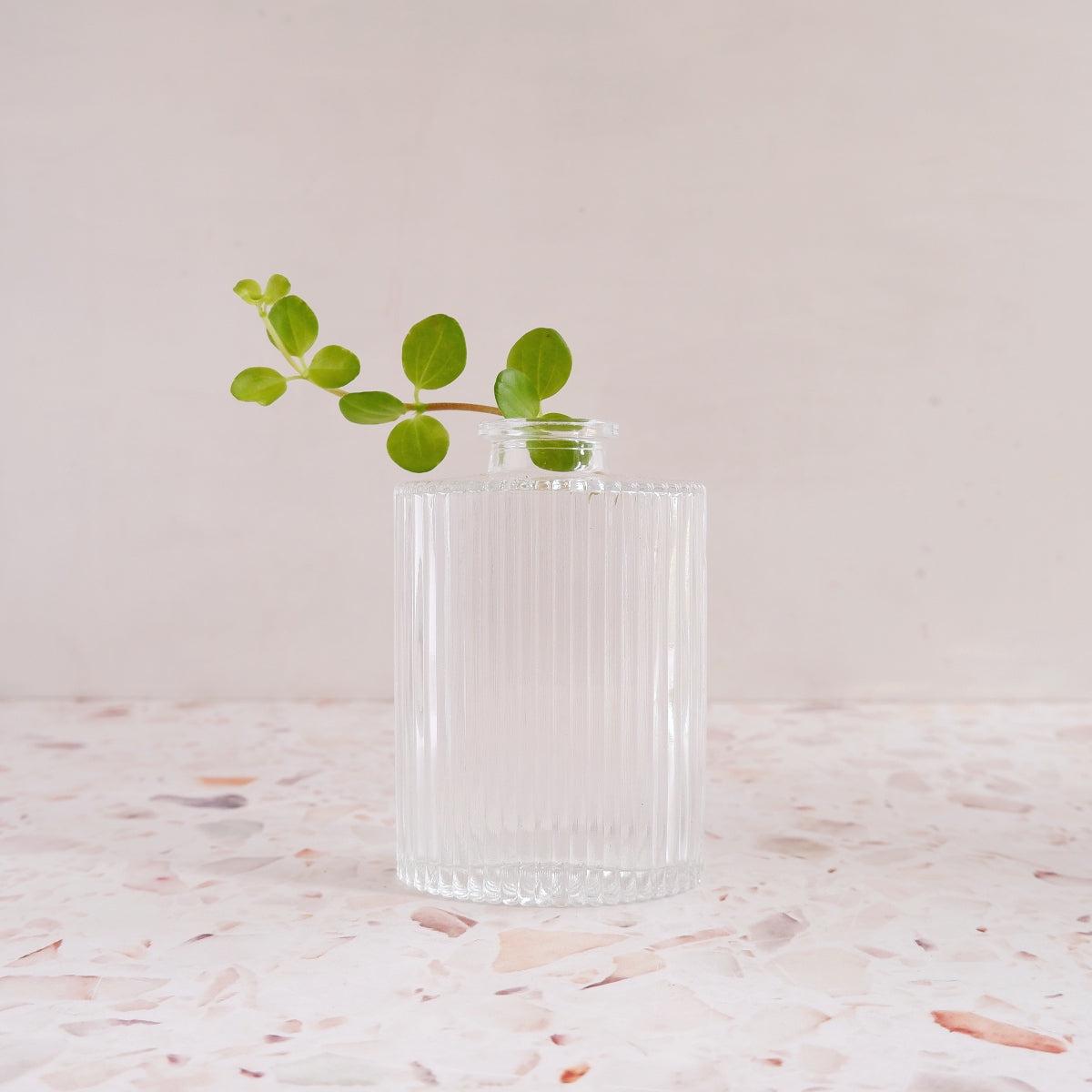 Glass Vase - Oval Ribbed