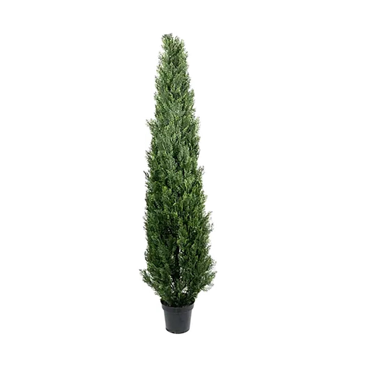 Mini Cedar Pine Tree 9Ft Everlasting