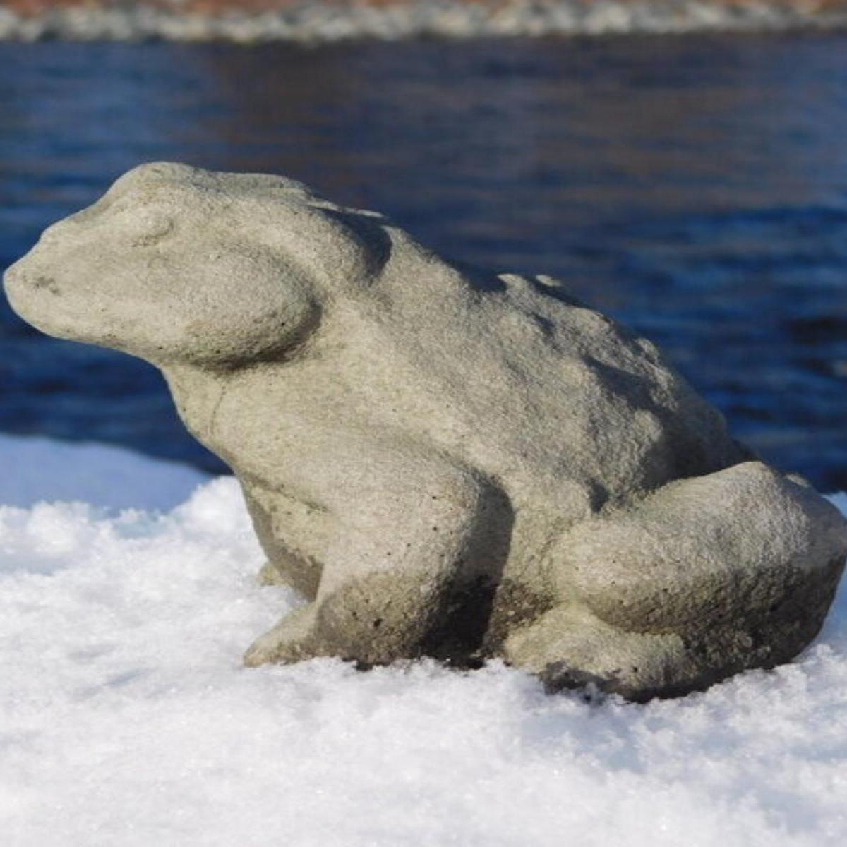 Toad