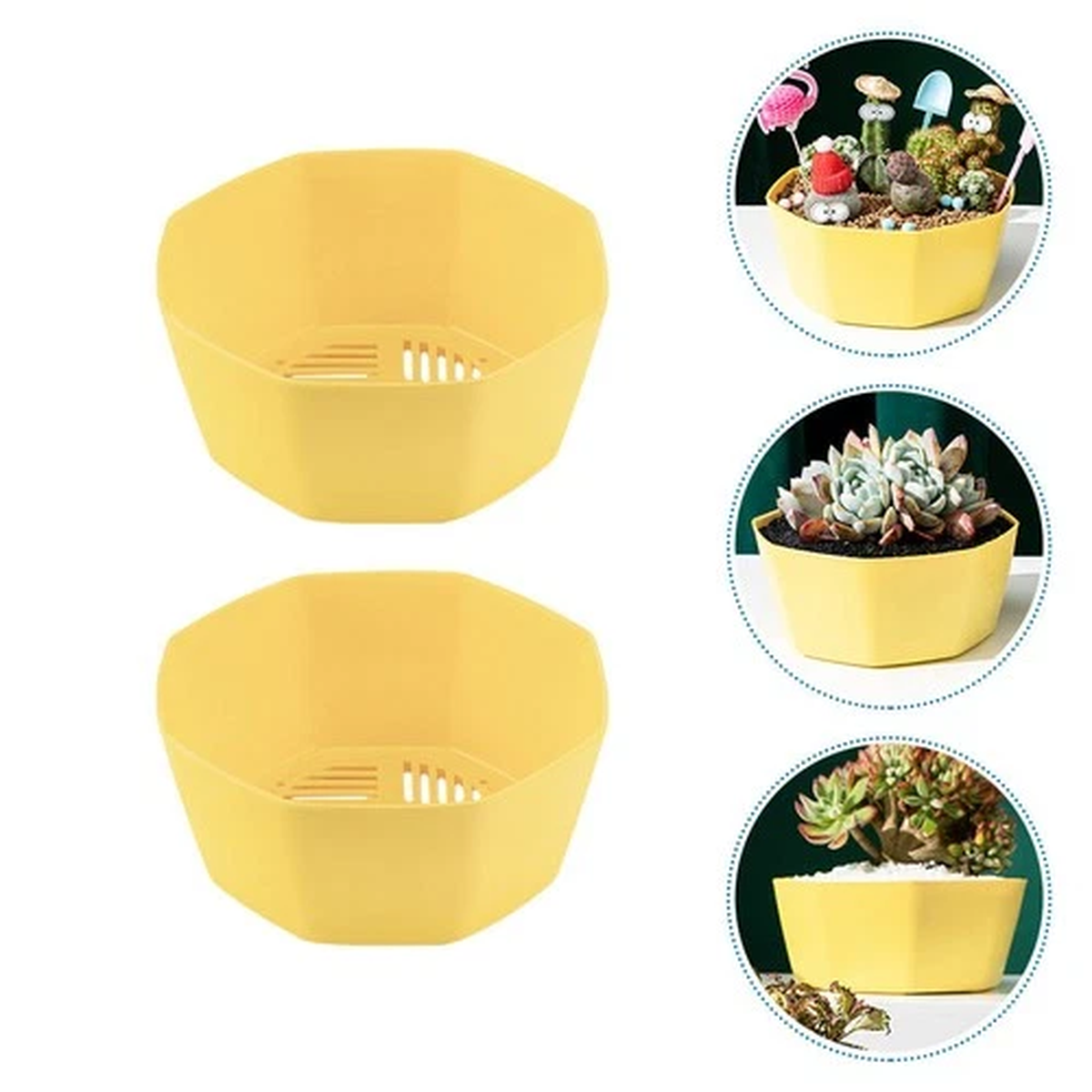 2 Pcs Succulent Flower Pot Flowerpot Nursery Pots Decorative Planter