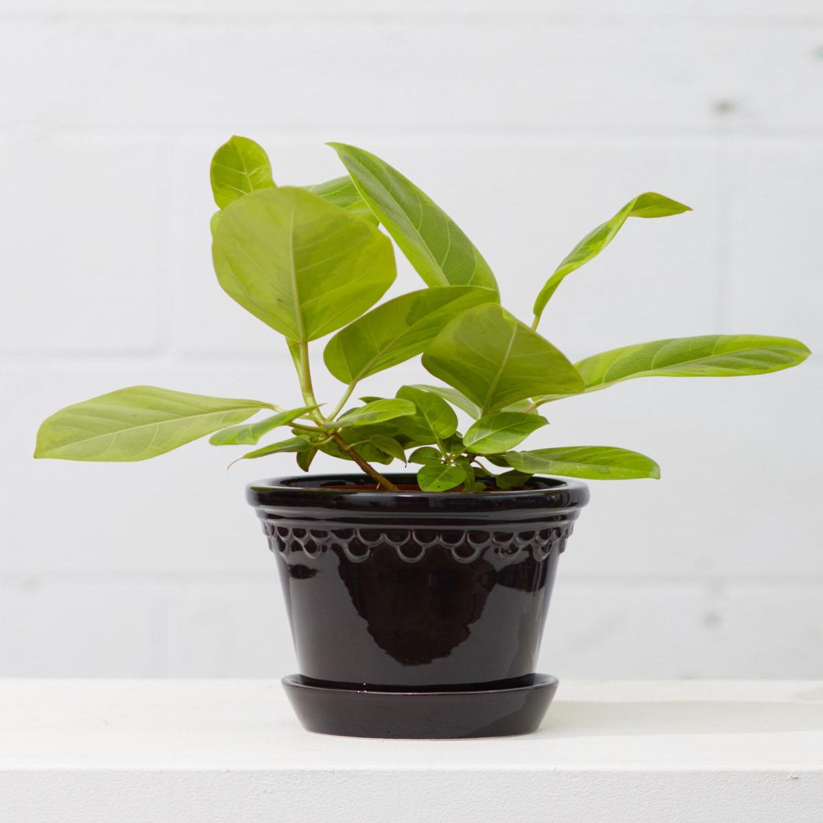 6.3 Inch BERGS POTTER 'COPENHAGEN' BLACK