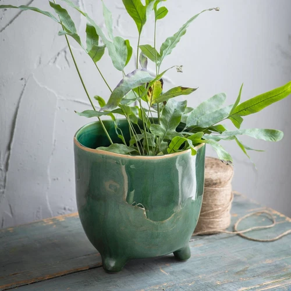 Forest Green Crackle Glaze Positano Ceramic Plant Pot Cover with Feet, Planter