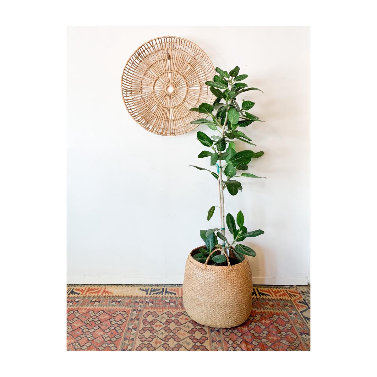 Seagrass Basket with Handles