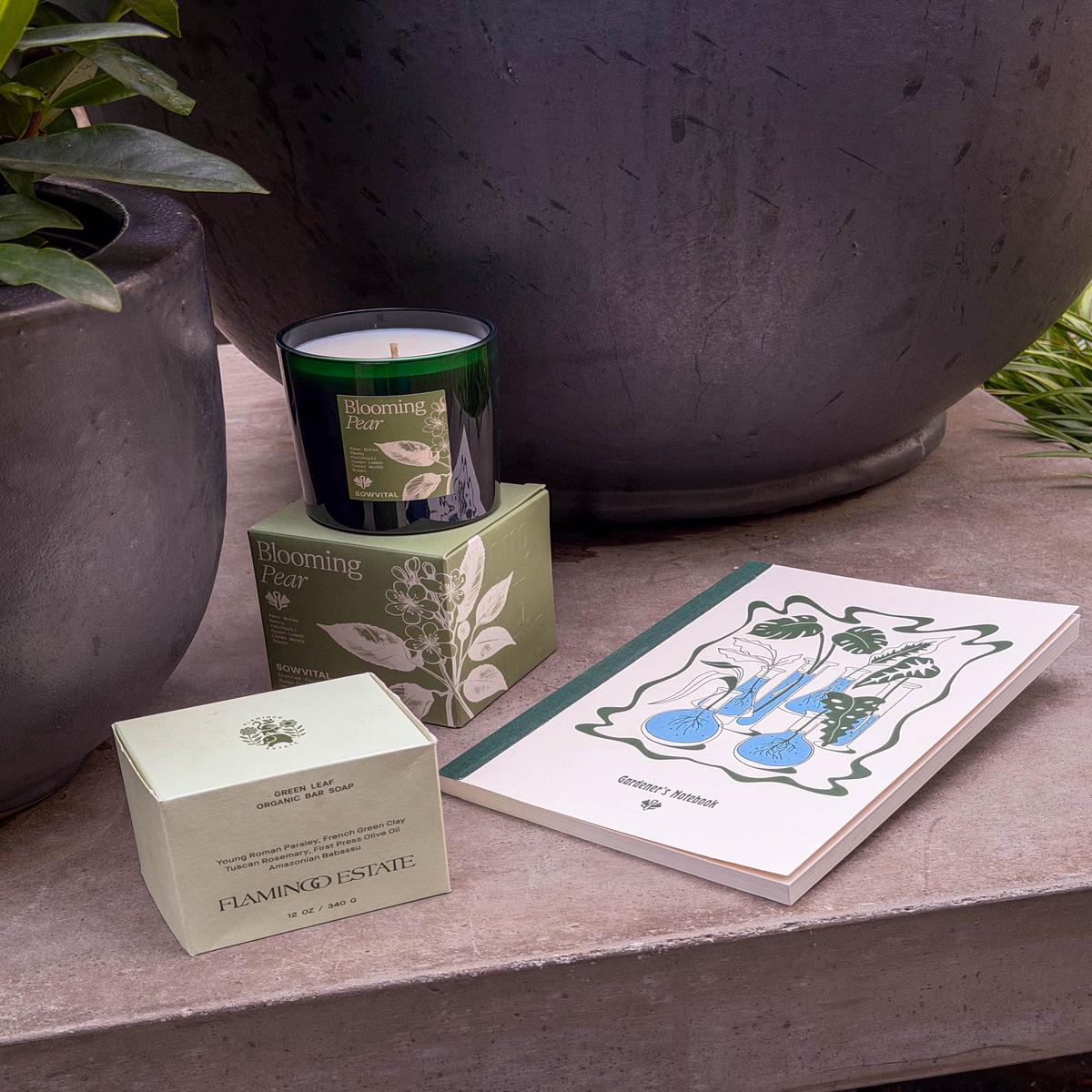 For the Gardener Who Has It All: Pear