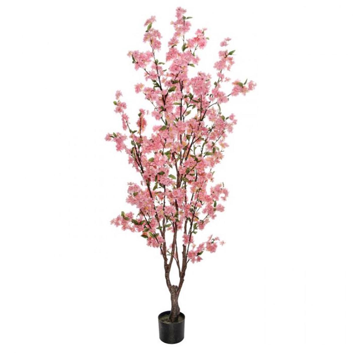 Cherry Blossom Tree Blush Pink Everlasting