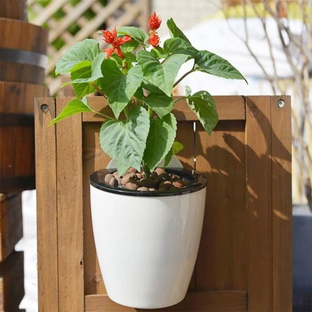 Compact and Economical Flower Pot with Automatic Water absorbing Function