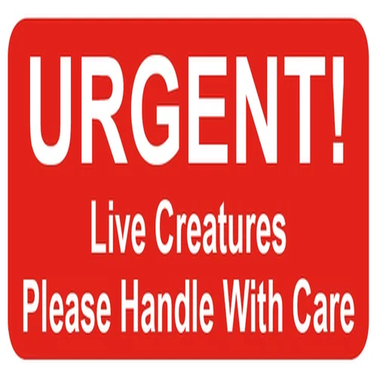 URGENT Live Creatures - Small Red Packing Stickers - Sticky Labels