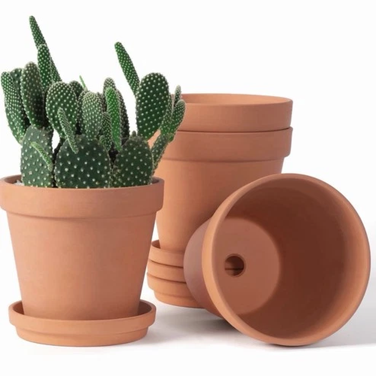6 Inch Terracotta & Clay Pots for Plant with Saucer - 4 Pack Medium Terra Cotta