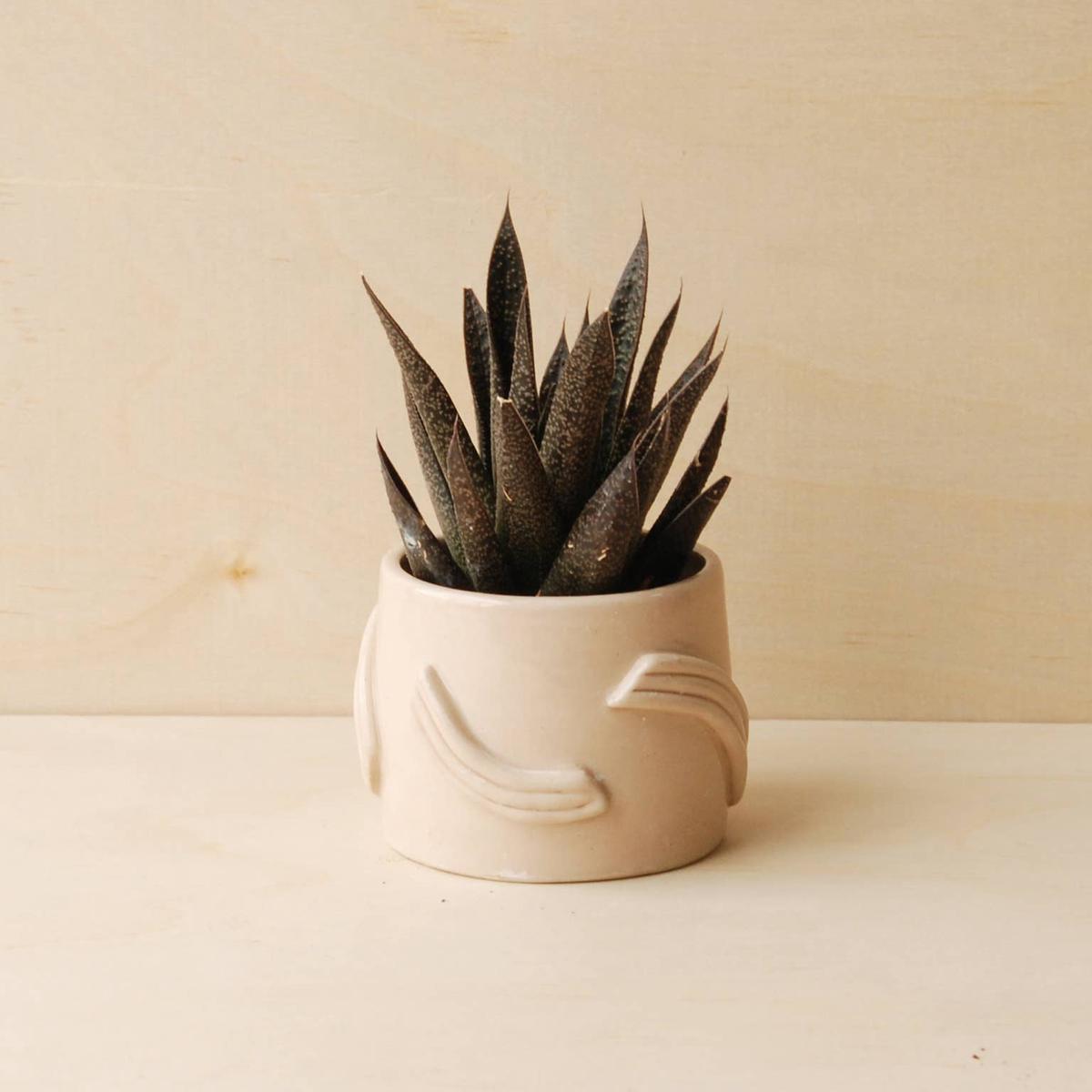 Nightshift Ceramics Deco Planter