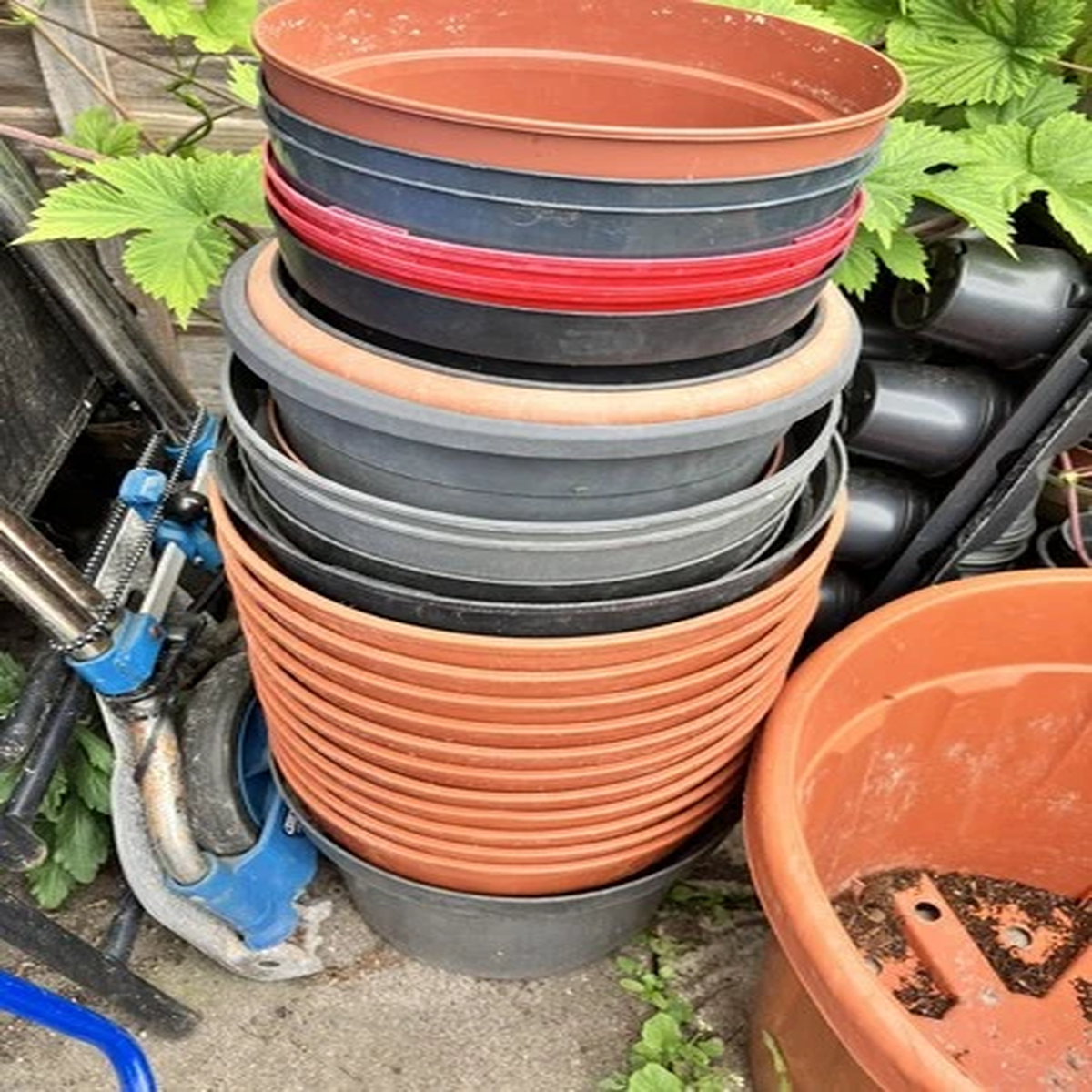 Range of Extra Large Plastic Plant Pots- 23+ diameter pots