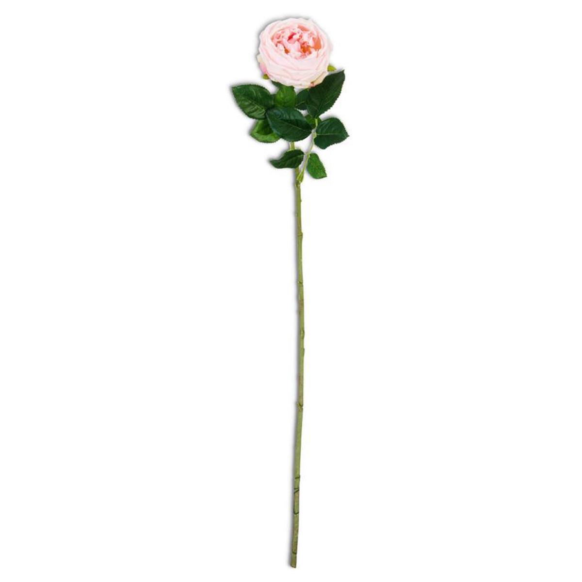 Real Touch Austin Rose Stem Pink Everlasting