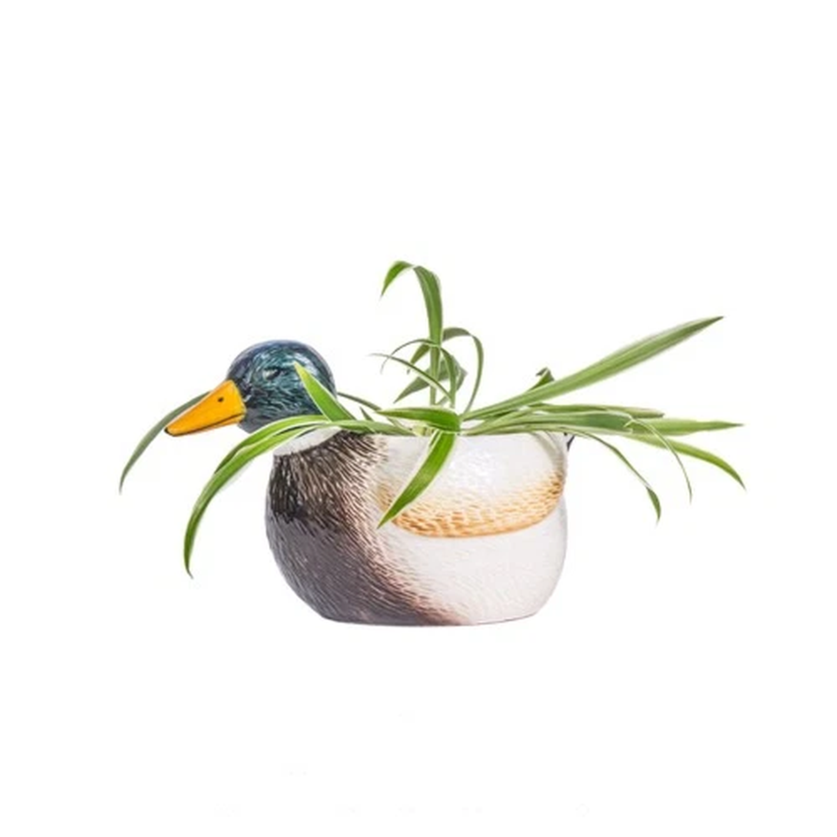 Sass & Belle Mallard Duck Mini Planter Pond Life Plant Pot