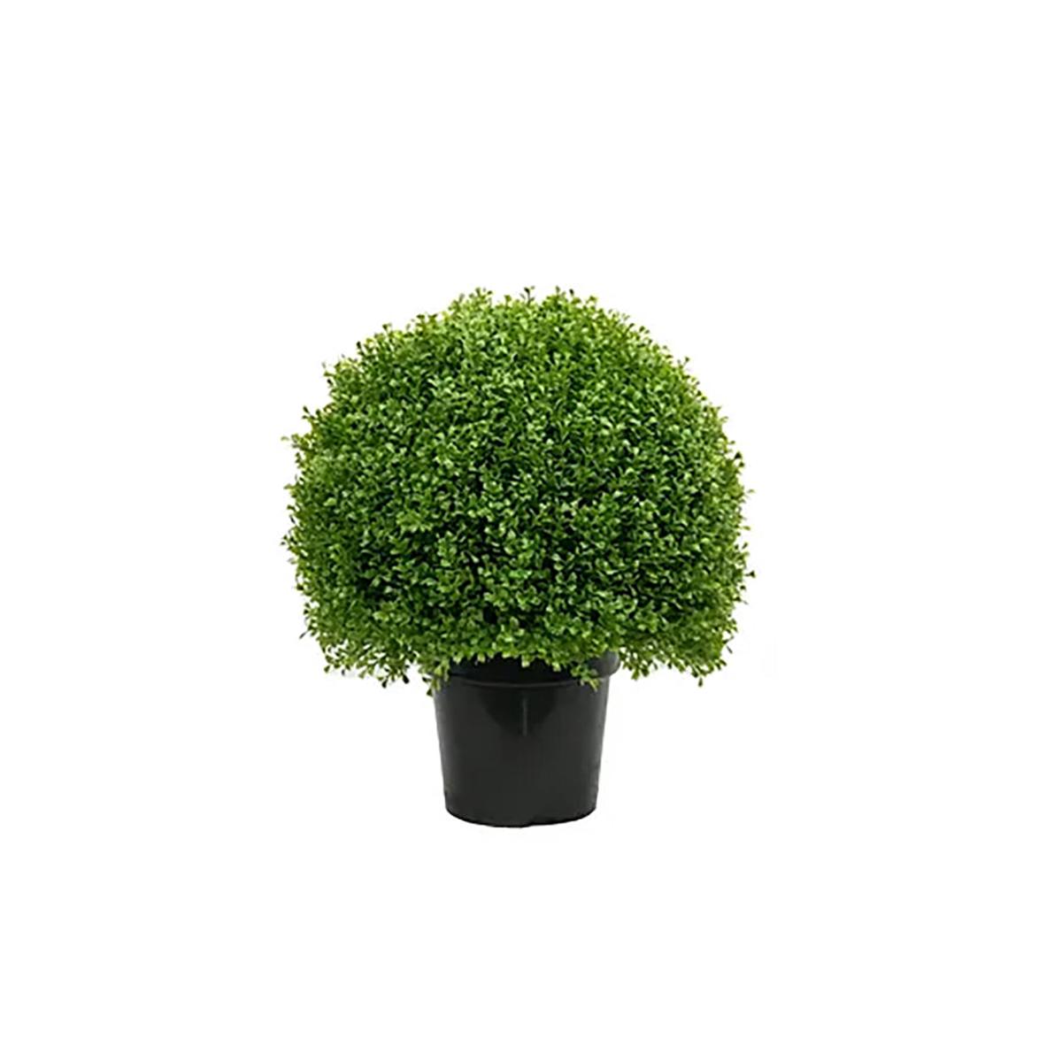 Boxwood Globe 20In Everlasting