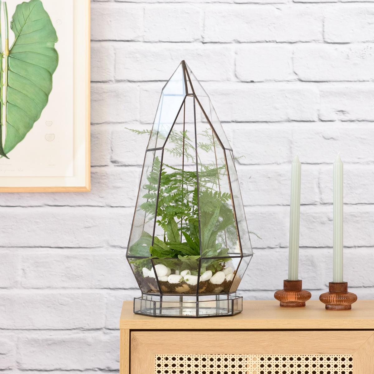 Terrarium - Cathedral