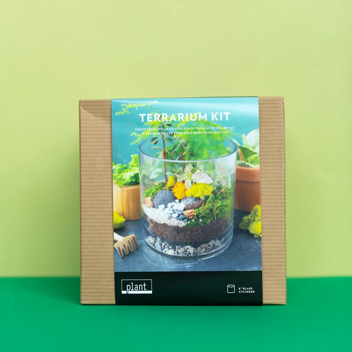 Terrarium Kit: Large Cylinder