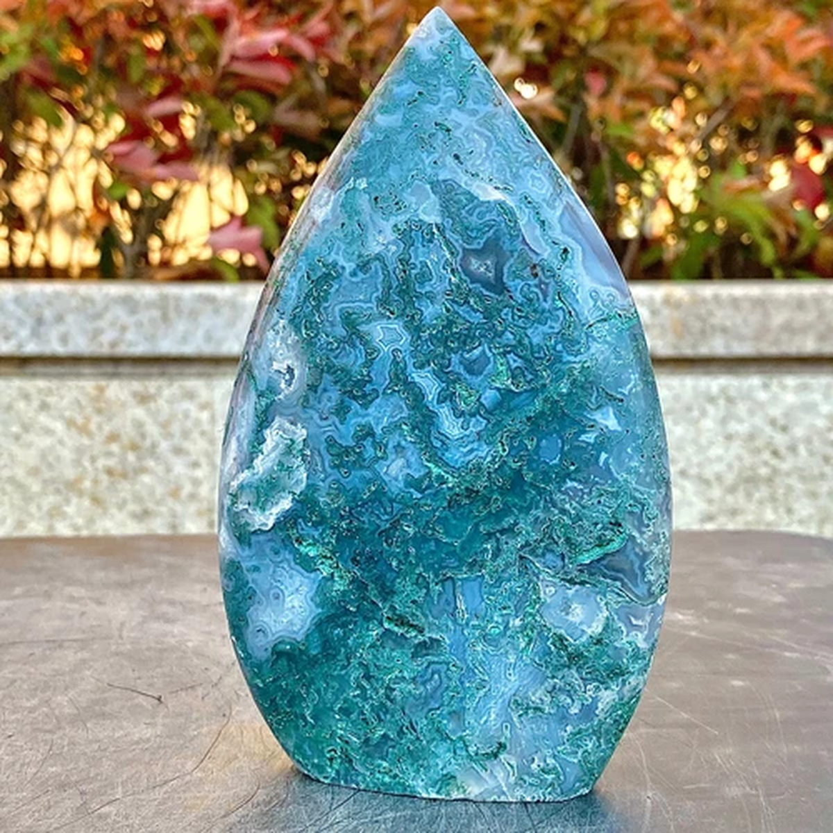 1.27LB  Water droplet shaped specimens of green aquatic plants