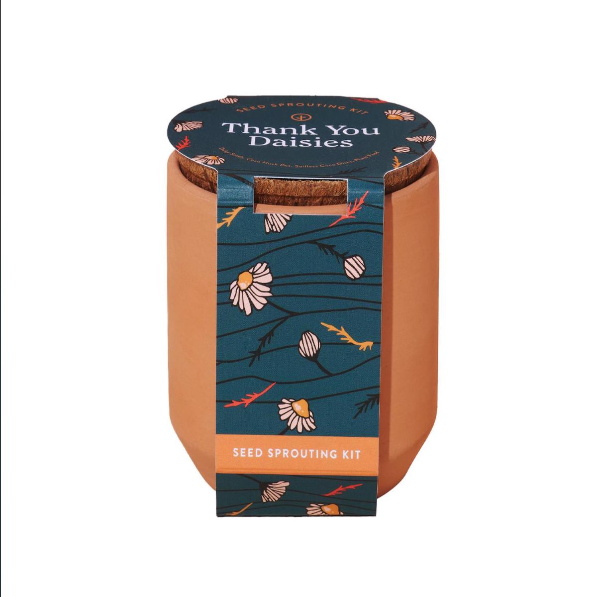 Tiny Terracotta Daisies Kit