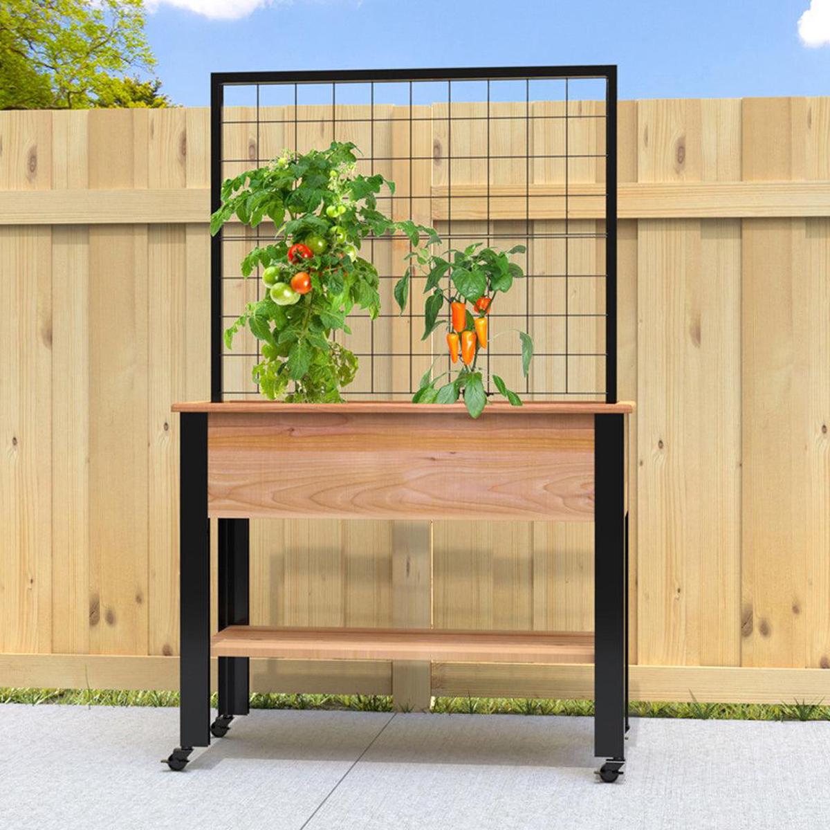 Elevated Planter With Trellis - Cedar