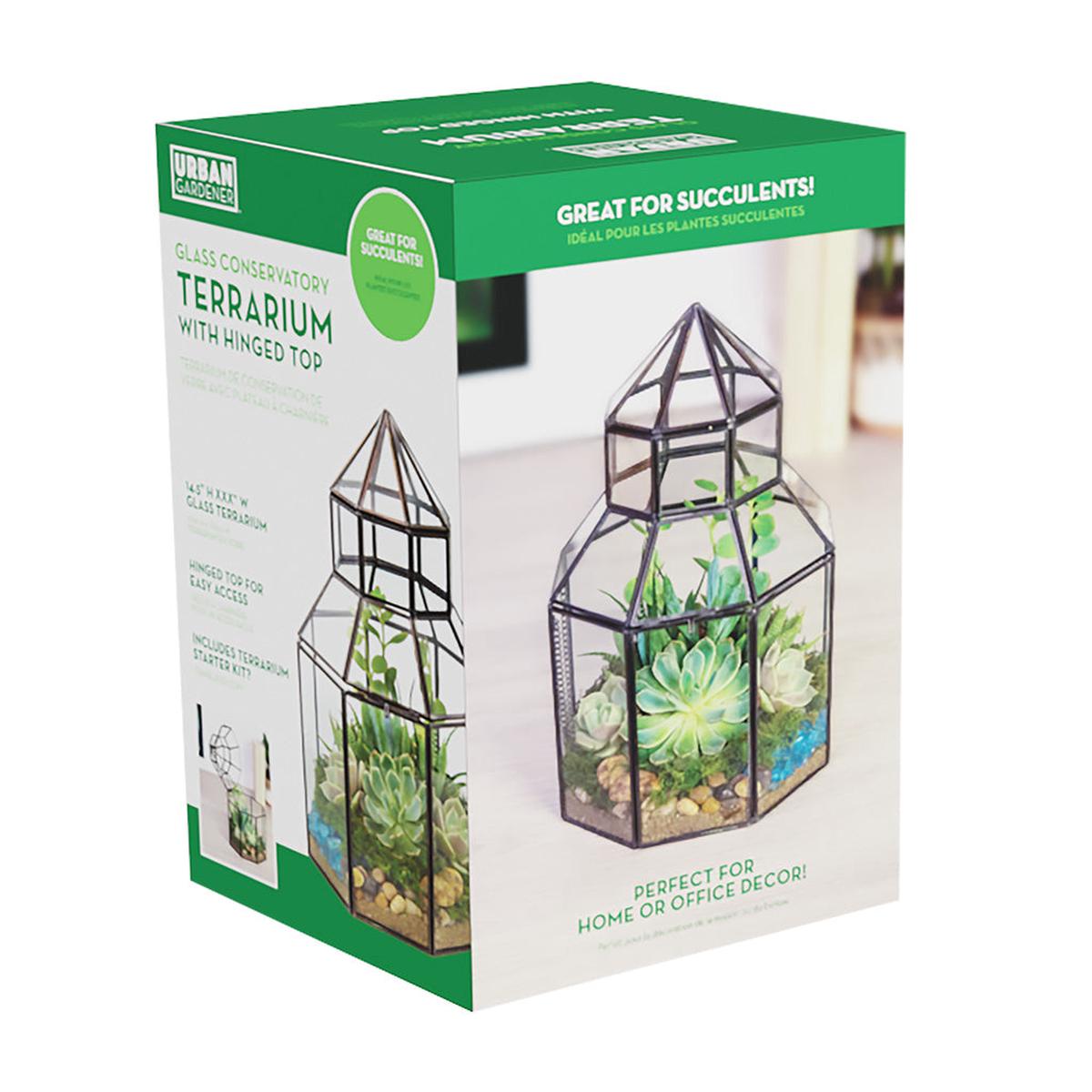 Conservatory Terrarium