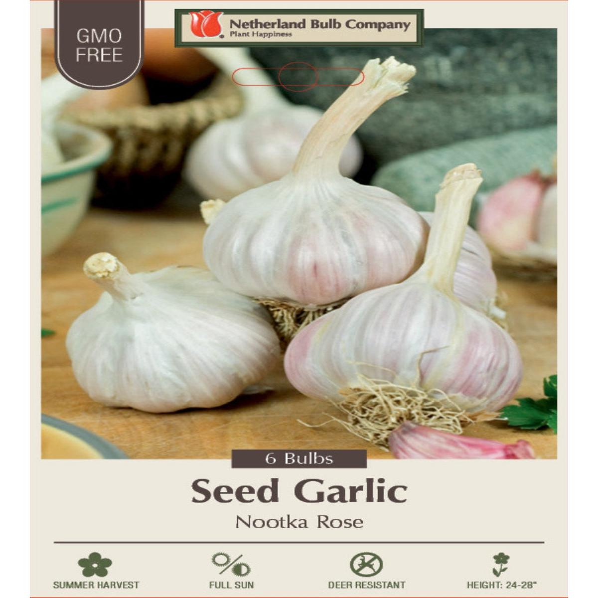 Garlic Softneck 'Nootka Rose' - Edible Bulb