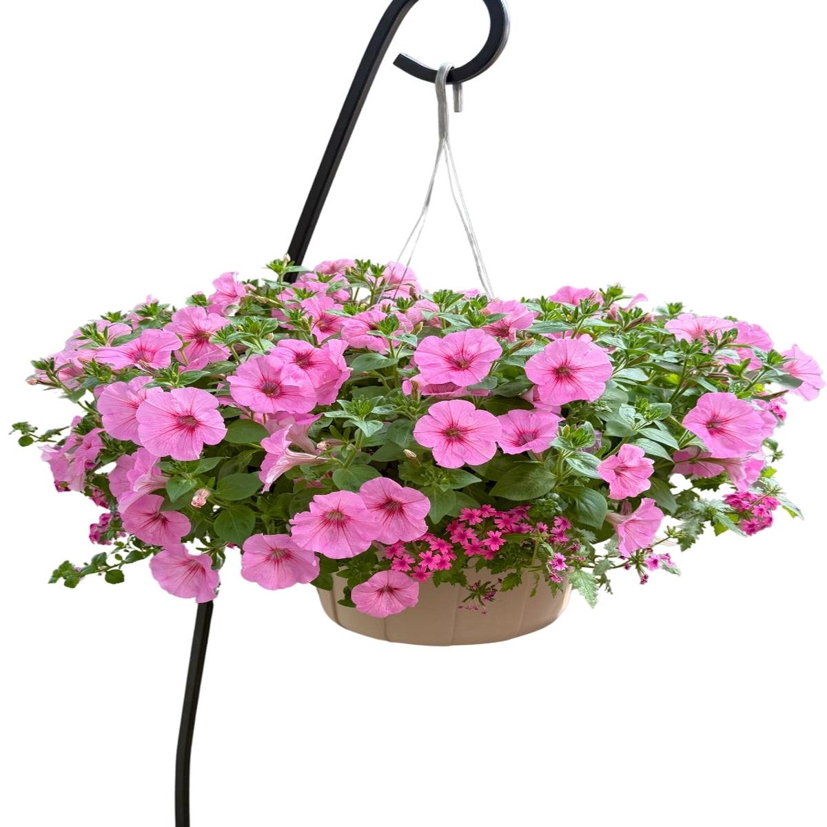 Mixed Basket Pink Twister