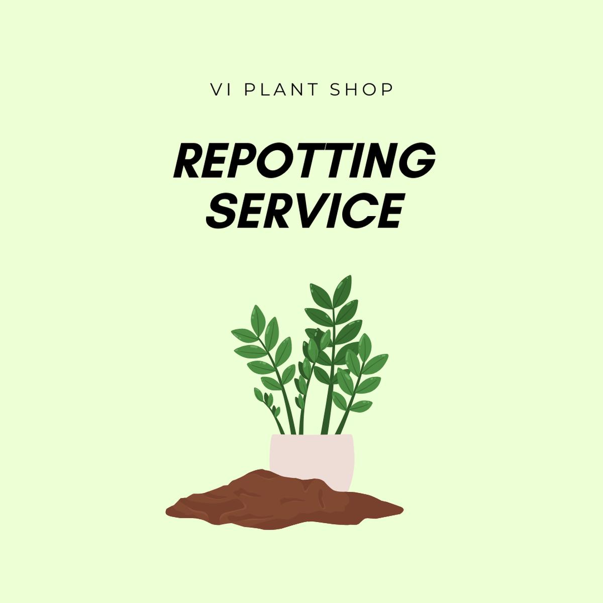 Repot Fee