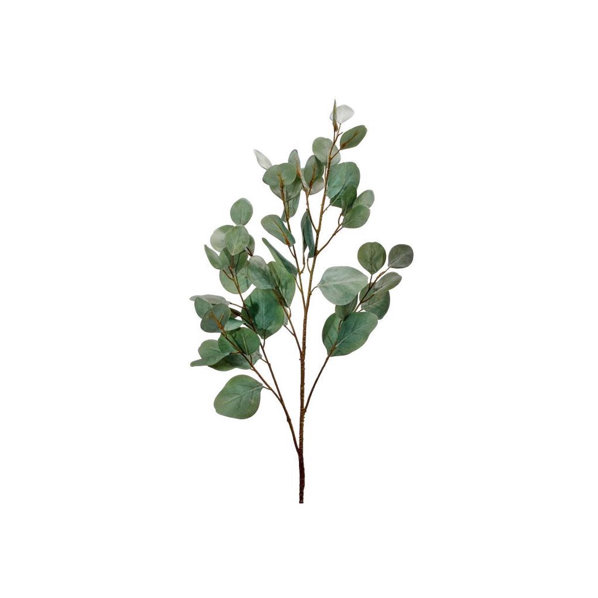Bleached Silver Dollar Eucalyptus Spray 34" Green Everlasting