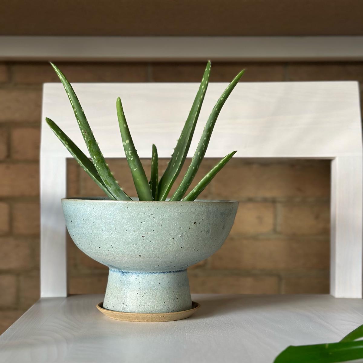 Bulb Planter in Blue Frost by Leaf & Thread