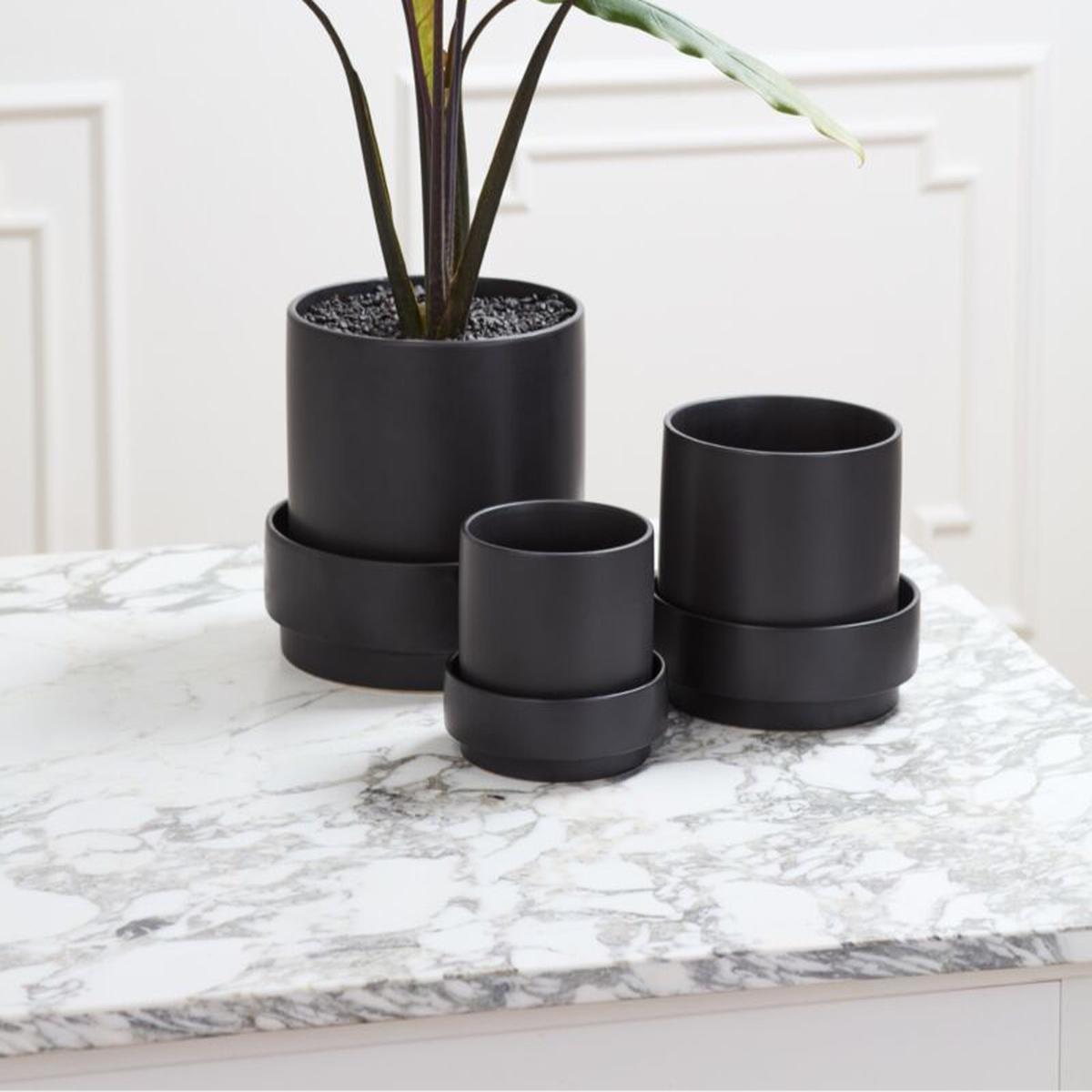 Claxton Pot