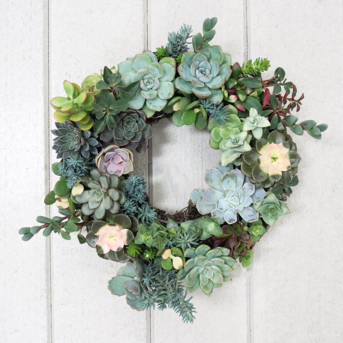Pulpy Garden's Succulent Wreath