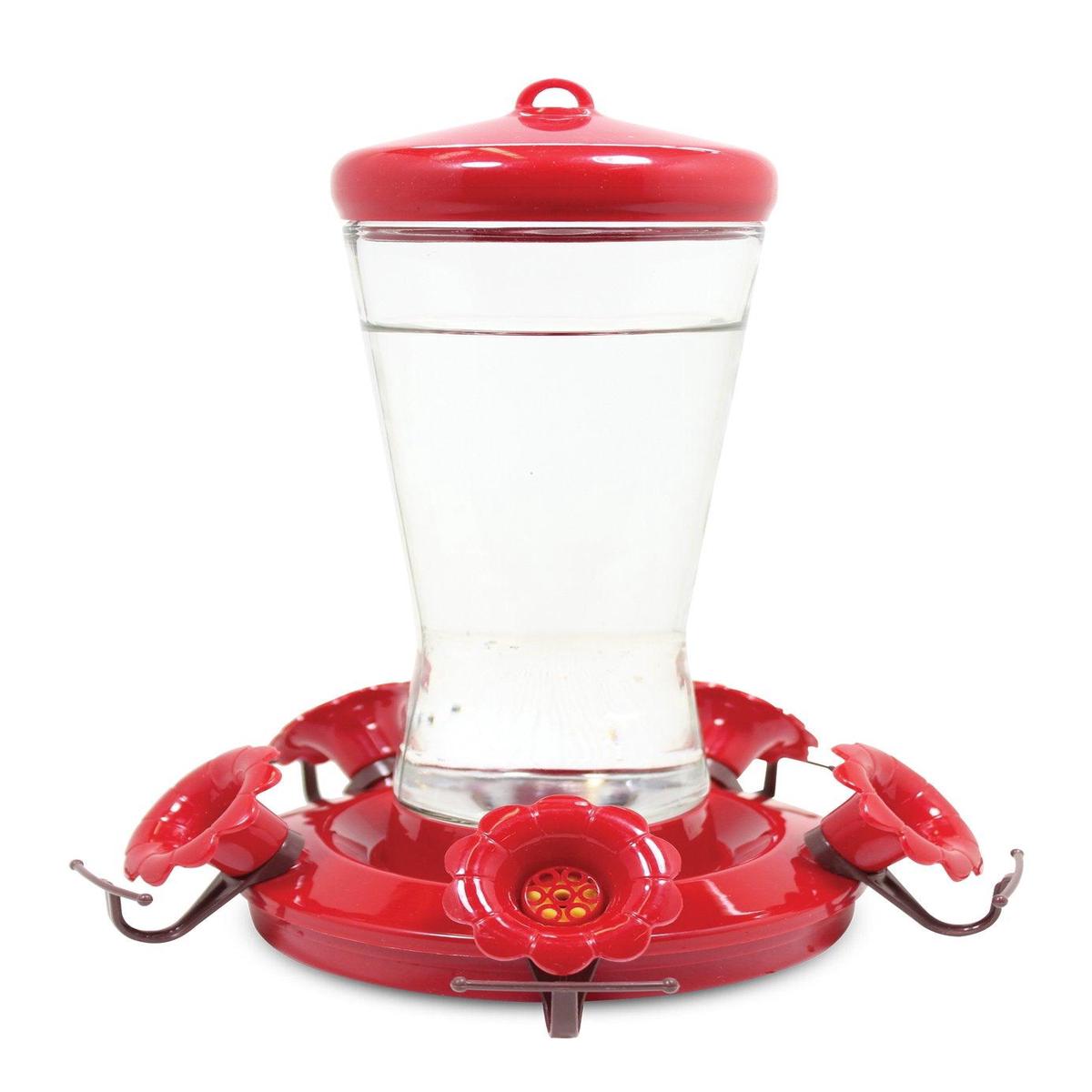 Hummingbird Feeder (Glass)