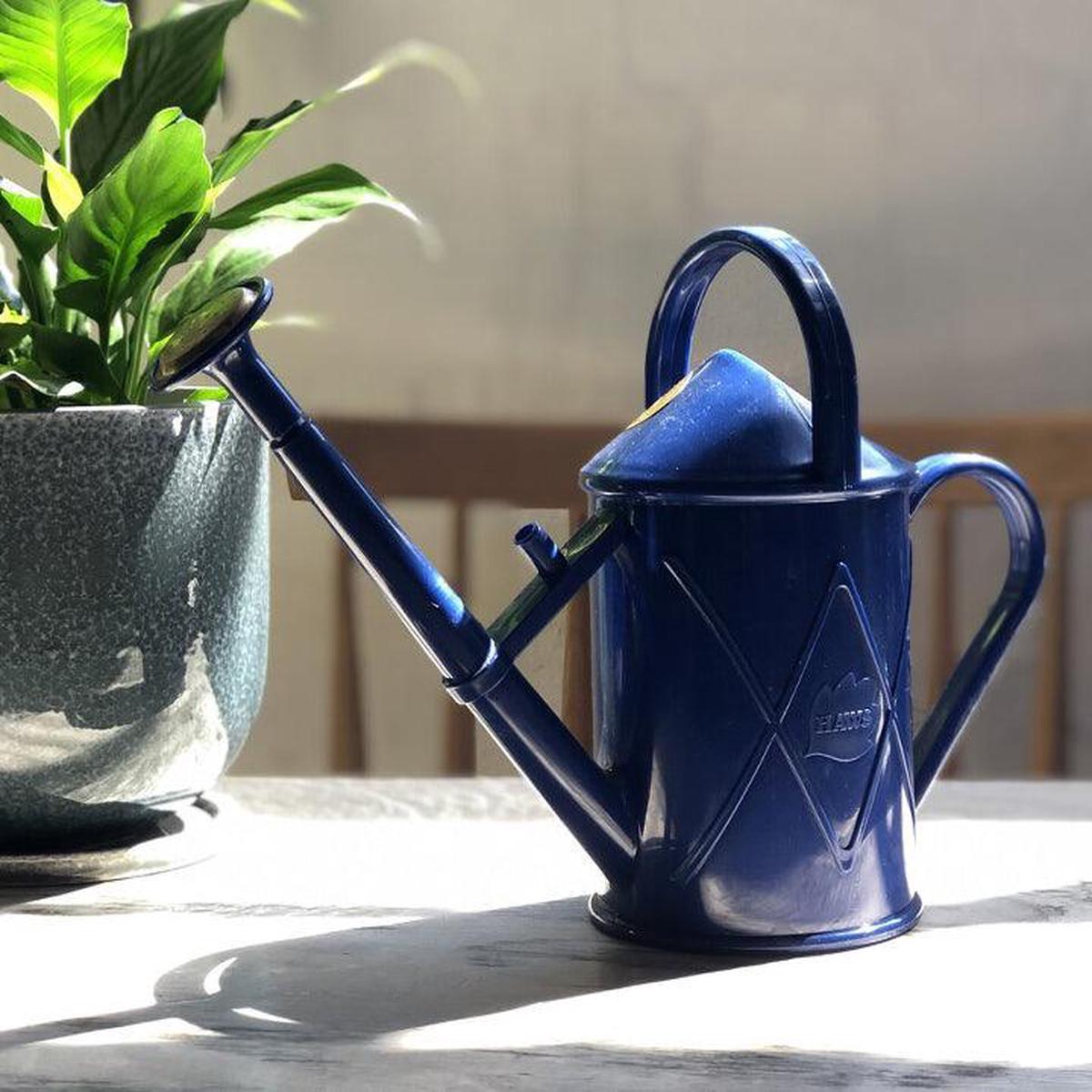 Plastic Watering Can 1000mL by Haws