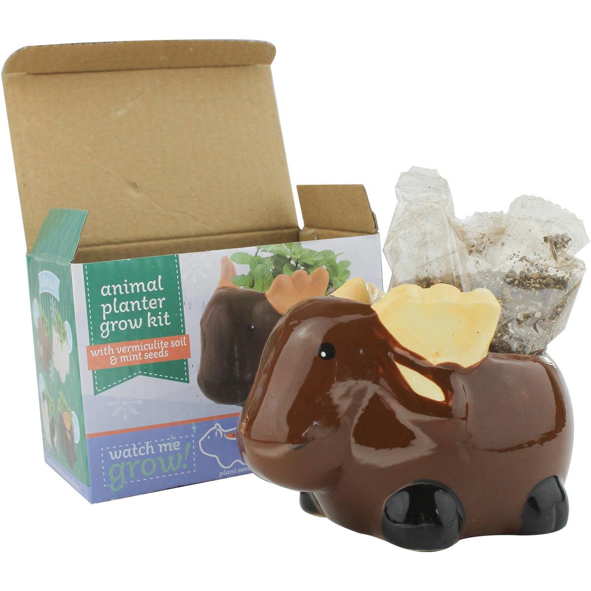 Moose Pot With Seed Growing Kits