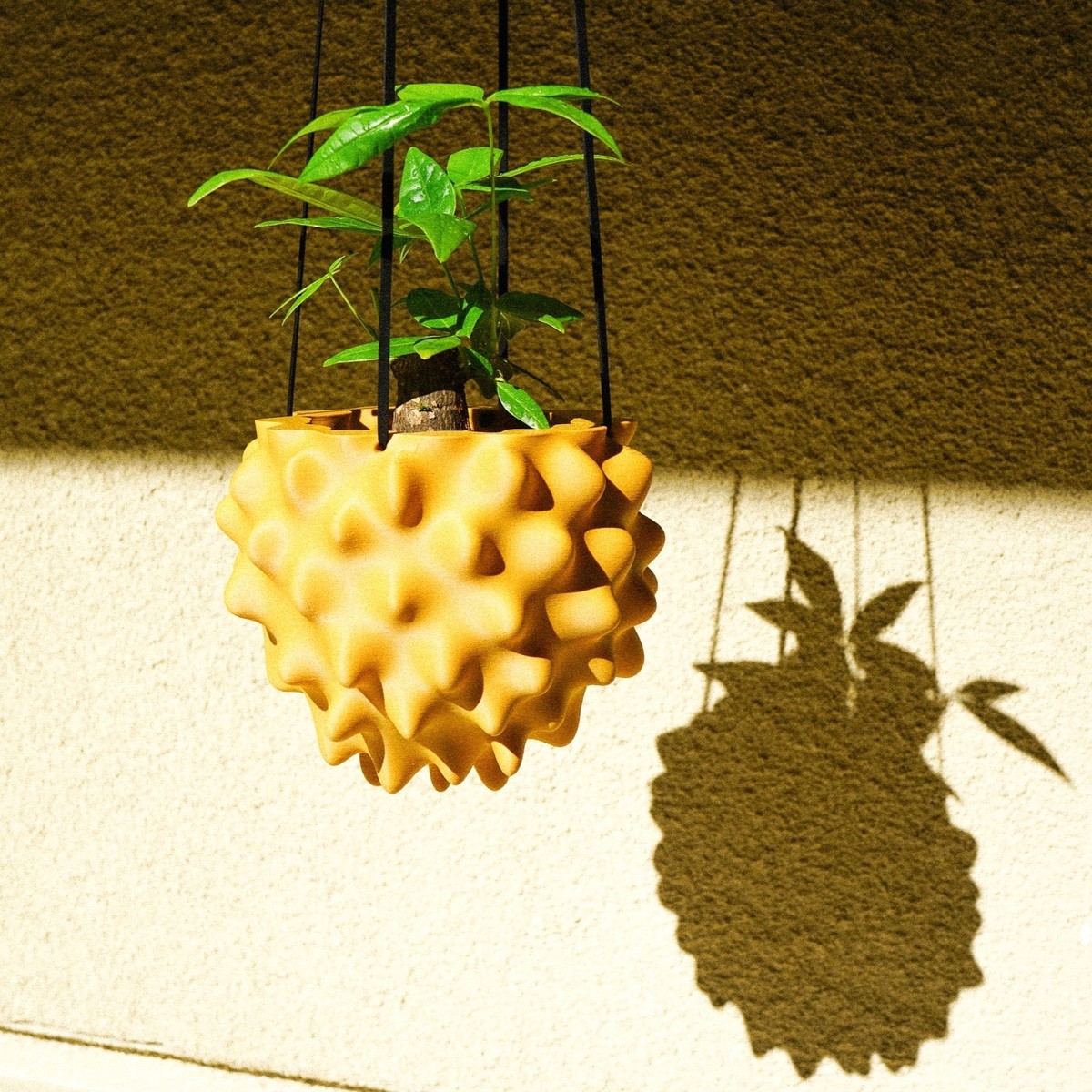 The Creature Orb Hanging Planter Pot With Drainage GalaxyBlue5InchWithDrainage