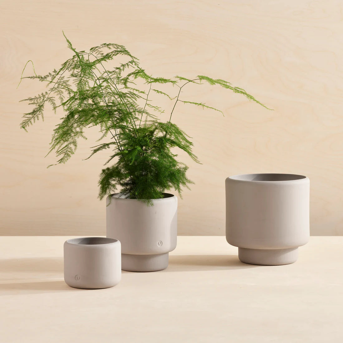 Aaron Probyn Botany Pot Medium - Concrete Grey
