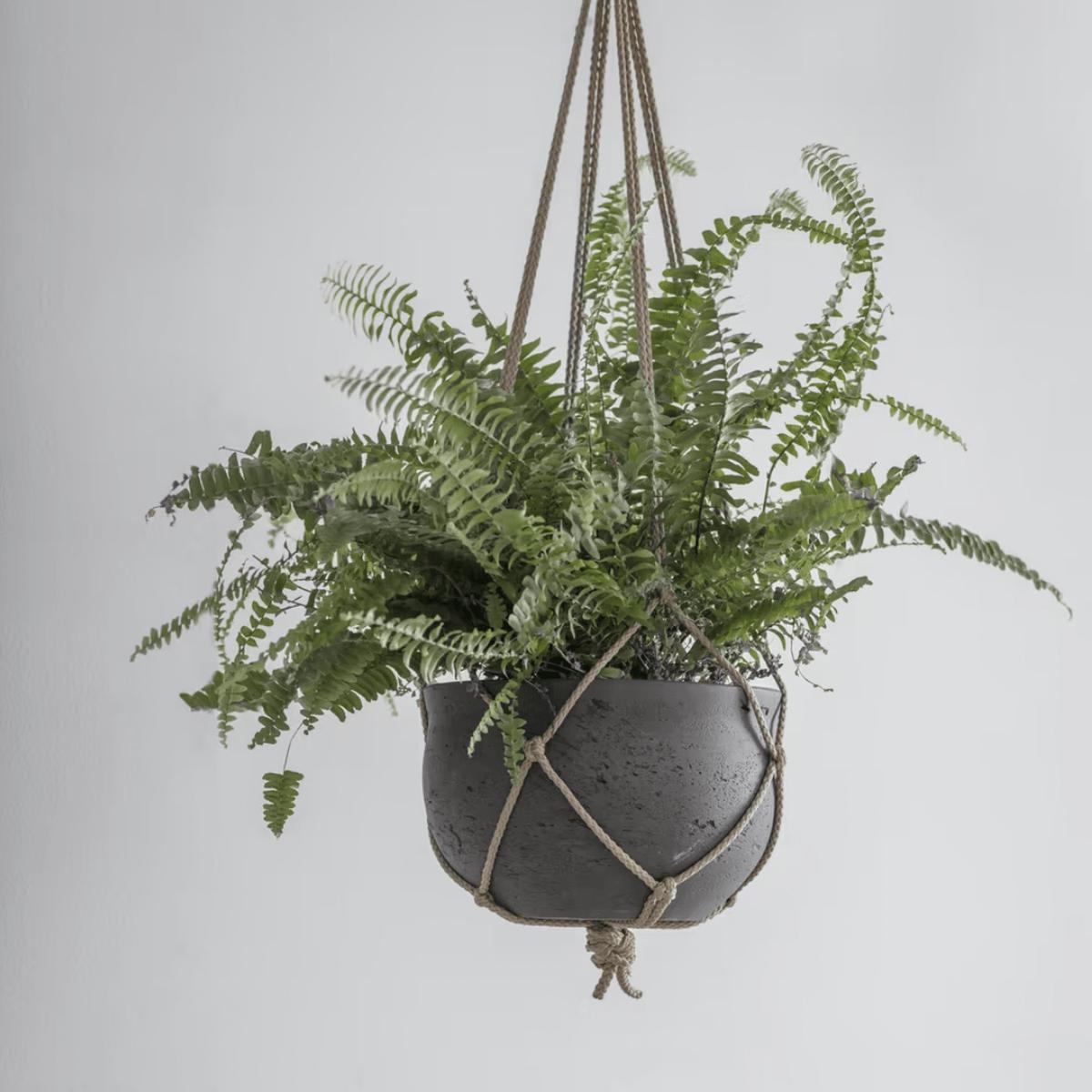 Stratton Hanging Pot