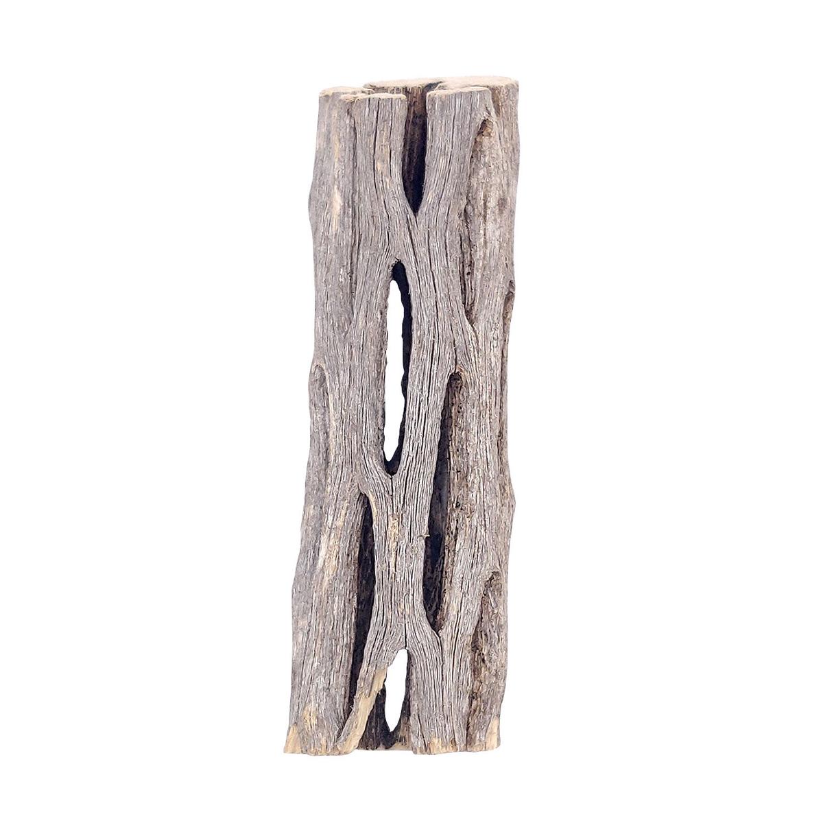 3 inch Staghorn Cholla Wood Planter - 3'' long x 1'' wide