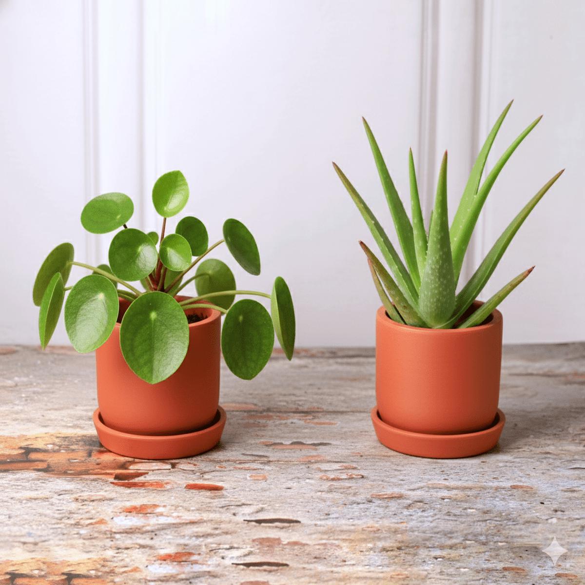 Autumn Planter Small 4 Inch | Handcrafted Decorative Pot