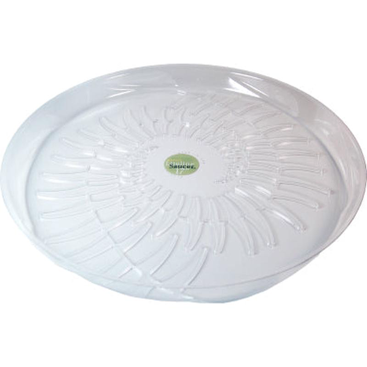 178243 LiteLine Saucer Fern