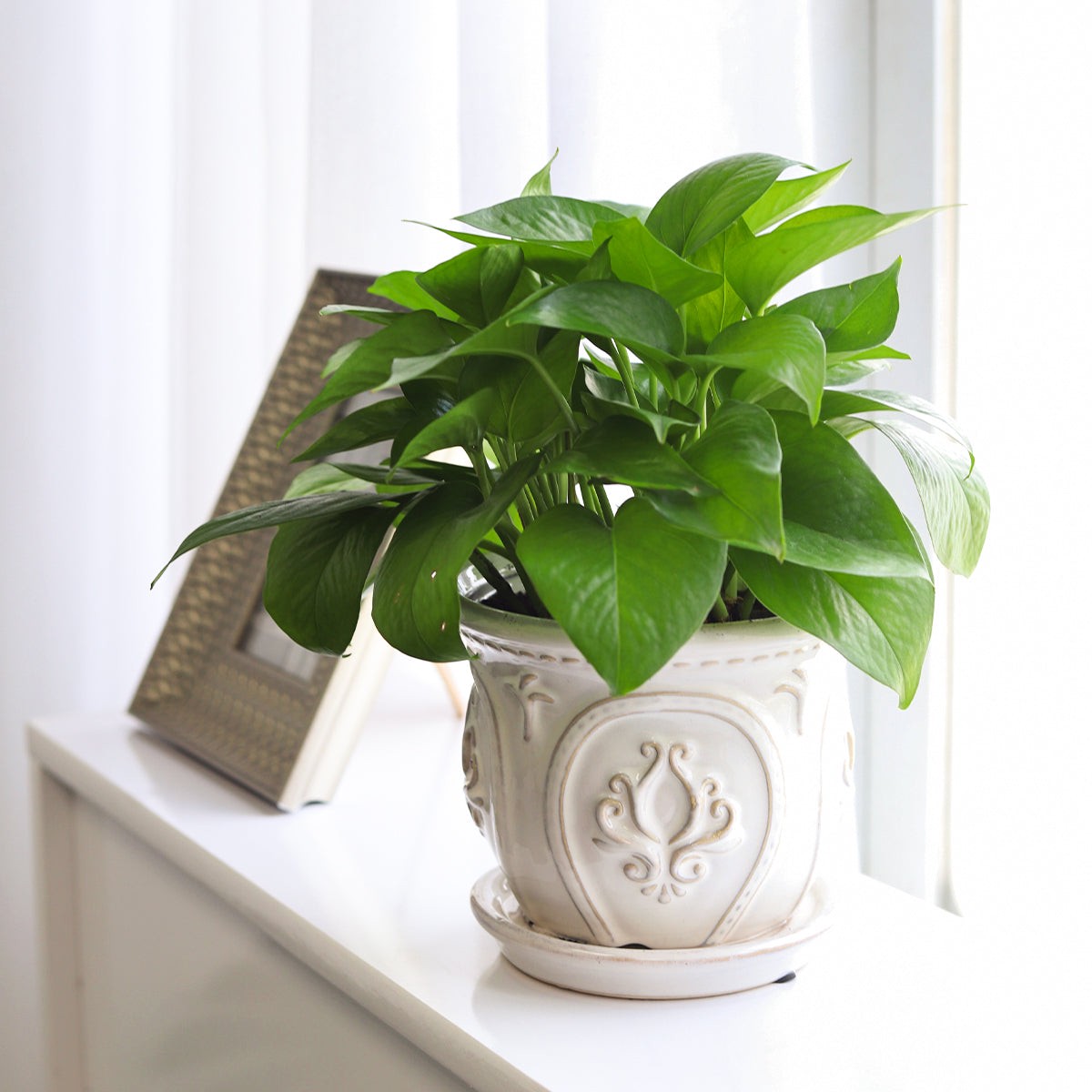 6 inch White Classical Ornate Ceramic Planter