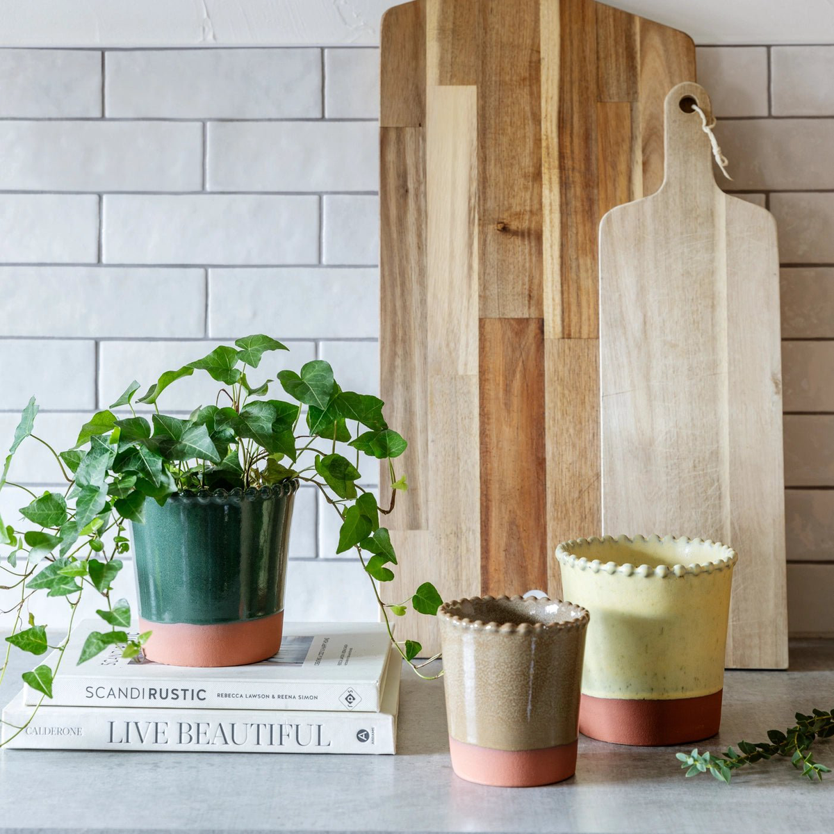 Adeline Beaded Edge Planter  Forest Green