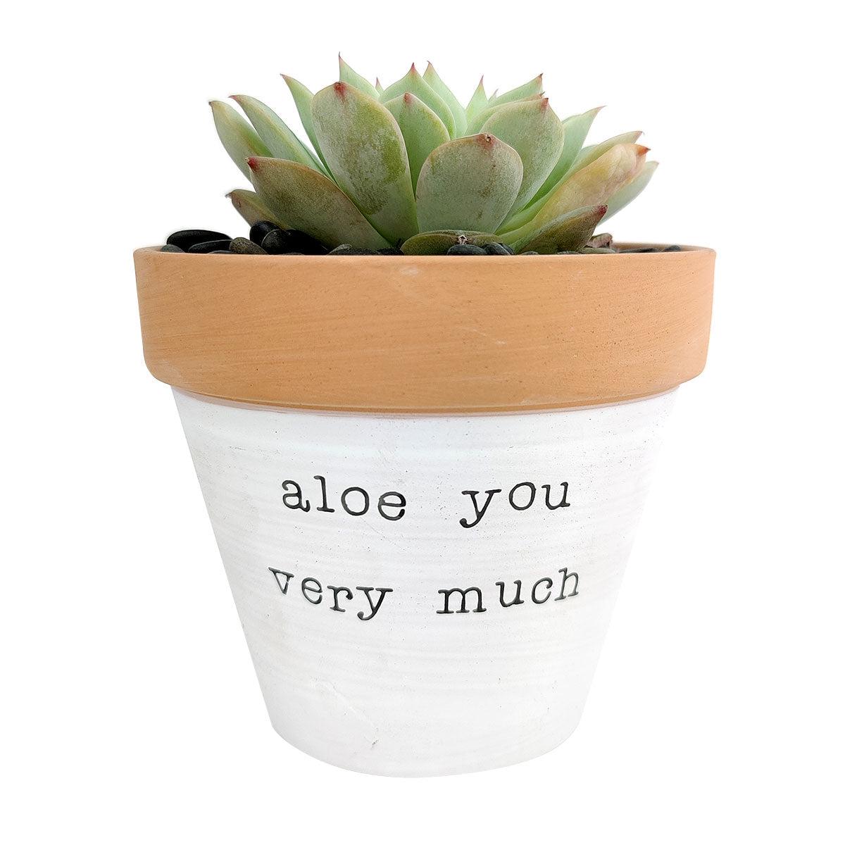 Aloe You Very Much Planter