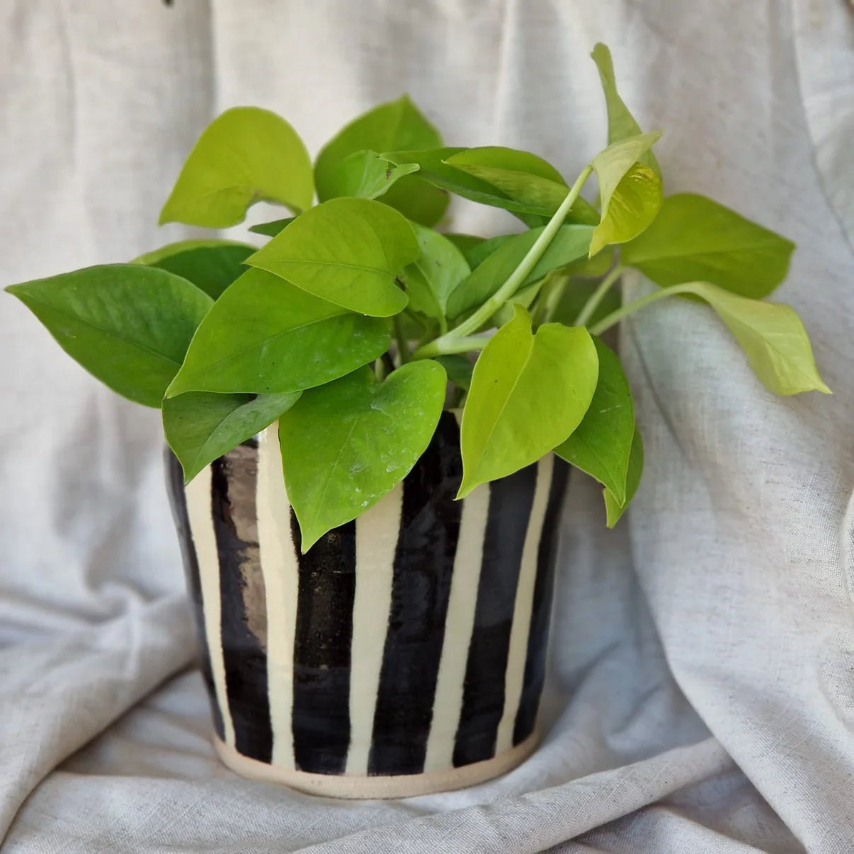 Stripe - Black and White Handmade Ceramic Plant Pot