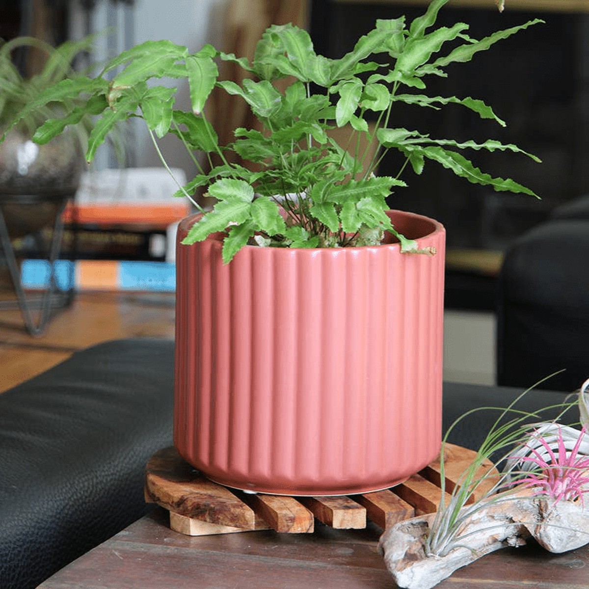 6.5" Brush Comb Hibiscus Planter  Ceramic Pot