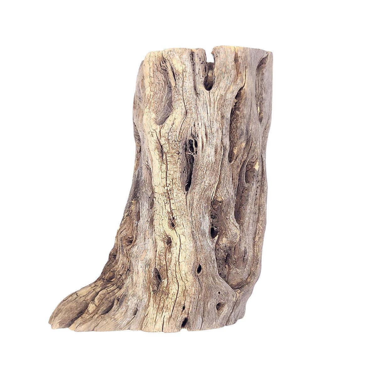3 inch Staghorn Cholla Wood Planter - 3'' long x 2'' wide